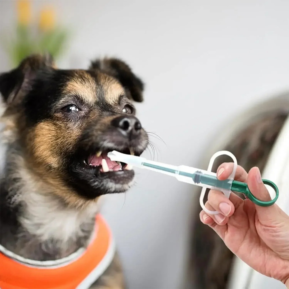 Dog Cat AccessoriesPet Syringe - đánh giá và giá Food Storage Youtube