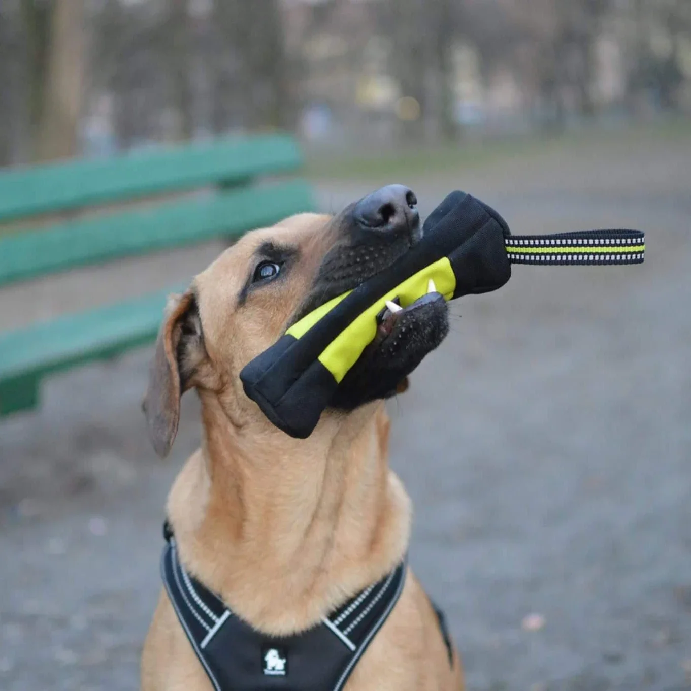 Truelove Dog Training Retrieve - đánh giá và giá Food Storage Zipper Bags